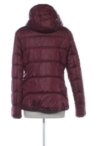 Γυναικείο μπουφάν Colours Of The World, Μέγεθος L, Χρώμα Κόκκινο, Τιμή 27,99 €