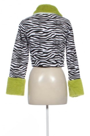 Γυναικείο μπουφάν Daisy Street, Μέγεθος S, Χρώμα Πολύχρωμο, Τιμή 35,99 €