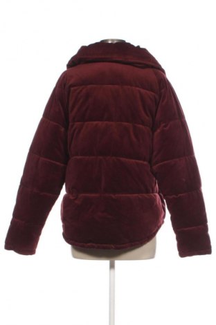 Dámská bunda  Edc By Esprit, Velikost XL, Barva Fialová, Cena  959,00 Kč