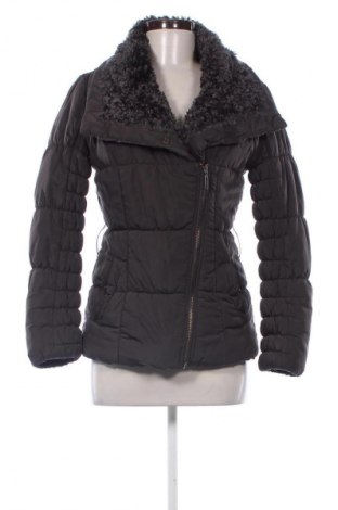 Dámska bunda  Gallop, Veľkosť S, Farba Čierna, Cena  45,52 €