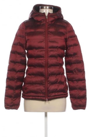 Kurtka damska Invicta, Rozmiar S, Kolor Czerwony, Cena 134,99 zł