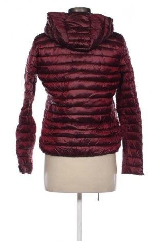 Női dzseki Mango, Méret M, Szín Lila, Ár 14 569 Ft