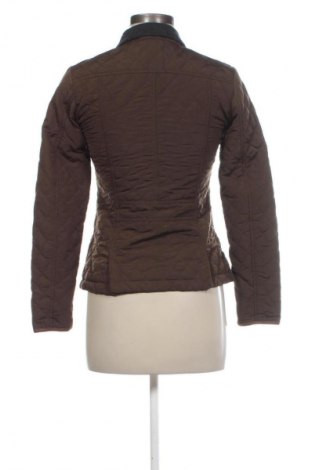 Kurtka damska Massimo Dutti, Rozmiar XS, Kolor Brązowy, Cena 267,99 zł