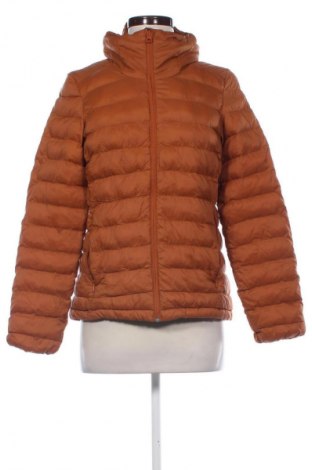 Dámska bunda  Scheck, Veľkosť M, Farba Hnedá, Cena  16,95 €