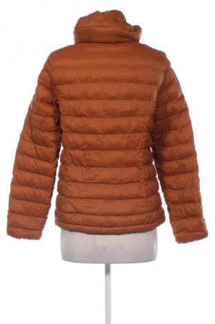 Dámska bunda  Scheck, Veľkosť M, Farba Hnedá, Cena  16,95 €