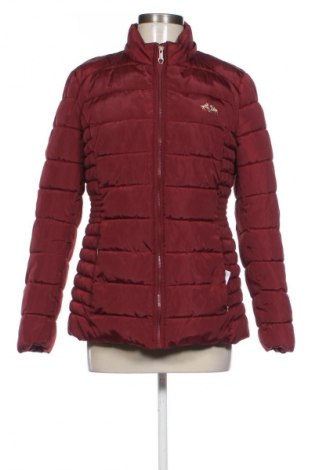 Damenjacke U.S. Polo Assn., Größe M, Farbe Rot, Preis € 59,28