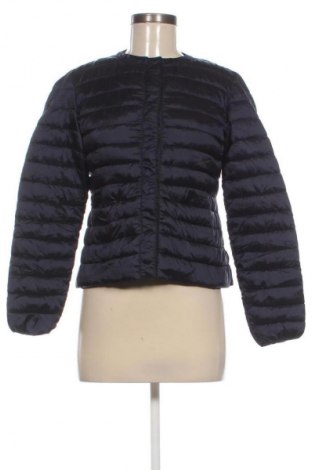 Dámska bunda  U.S. Polo Assn., Veľkosť M, Farba Modrá, Cena  99,95 €