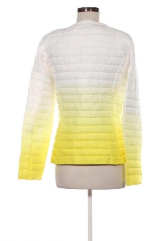 Γυναικείο μπουφάν Unbranded, Μέγεθος XL, Χρώμα Πολύχρωμο, Τιμή 25,00 €