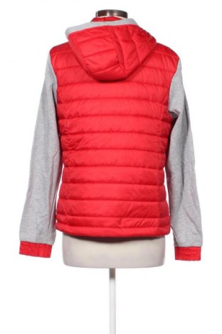 Γυναικείο μπουφάν Up 2 Fashion, Μέγεθος M, Χρώμα Πολύχρωμο, Τιμή 16,99 €