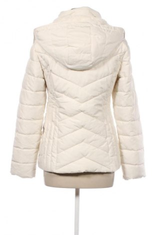 Dámska bunda  Zebra, Veľkosť S, Farba Béžová, Cena  39,95 €