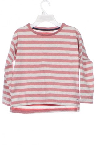 Detská blúzka  Alive, Veľkosť 10-11y/ 146-152 cm, Farba Viacfarebná, Cena  5,95 €