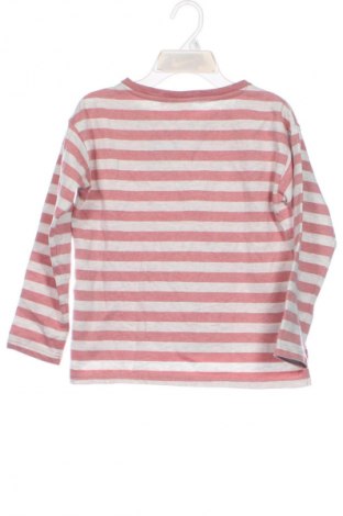 Detská blúzka  Alive, Veľkosť 10-11y/ 146-152 cm, Farba Viacfarebná, Cena  5,95 €