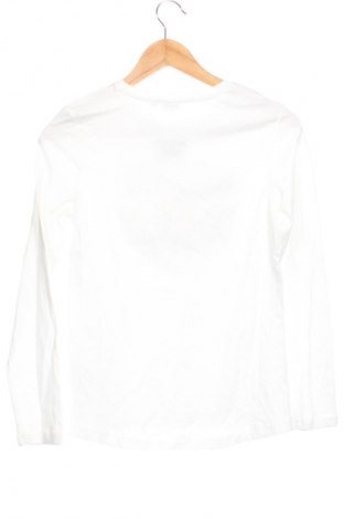 Bluză pentru copii Blu Kids, Mărime 12-13y/ 158-164 cm, Culoare Alb, Preț 27,99 Lei