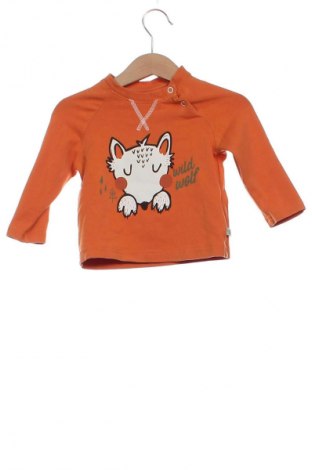 Παιδική μπλούζα Coccodrillo, Μέγεθος 6-9m/ 68-74 εκ., Χρώμα Πορτοκαλί, Τιμή 6,14 €