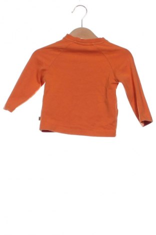 Παιδική μπλούζα Coccodrillo, Μέγεθος 6-9m/ 68-74 εκ., Χρώμα Πορτοκαλί, Τιμή 6,14 €