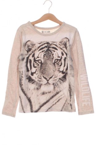 Детска блуза H&M, Размер 7-8y/ 128-134 см, Цвят Многоцветен, Цена 12,00 лв.