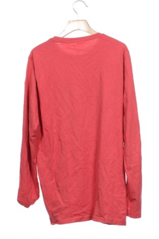 Dětská halenka  In Extenso, Velikost 13-14y/ 164-168 cm, Barva Vícebarevné, Cena  129,00 Kč