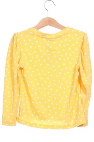 Kinder Shirt LC Waikiki, Größe 5-6y/ 116-122 cm, Farbe Mehrfarbig, Preis € 6,99