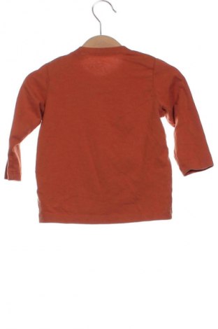 Bluză pentru copii Lindex, Mărime 6-9m/ 68-74 cm, Culoare Maro, Preț 30,00 Lei