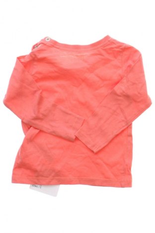 Детска блуза Lupilu, Размер 9-12m/ 74-80 см, Цвят Оранжев, Цена 9,99 лв.