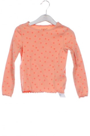 Detská blúzka  Next, Veľkosť 2-3y/ 98-104 cm, Farba Oranžová, Cena  12,00 €