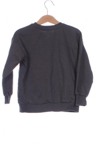 Bluză pentru copii Sinsay, Mărime 5-6y/ 116-122 cm, Culoare Gri, Preț 28,99 Lei