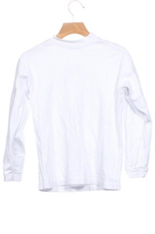 Dětská halenka  Unbranded, Velikost 3-6m/ 62-68 cm, Barva Bílá, Cena  129,00 Kč