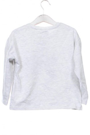 Bluză pentru copii Zara, Mărime 5-6y/ 116-122 cm, Culoare Gri, Preț 36,99 Lei