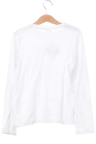 Bluză pentru copii Zara, Mărime 8-9y/ 134-140 cm, Culoare Alb, Preț 34,99 Lei