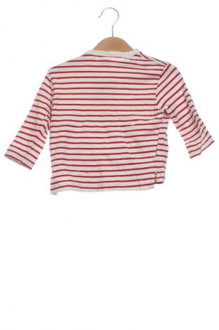 Παιδική μπλούζα Zara, Μέγεθος 6-9m/ 68-74 εκ., Χρώμα Πολύχρωμο, Τιμή 7,16 €
