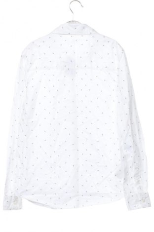 Detská košeľa  Mango, Veľkosť 10-11y/ 146-152 cm, Farba Viacfarebná, Cena  6,95 €