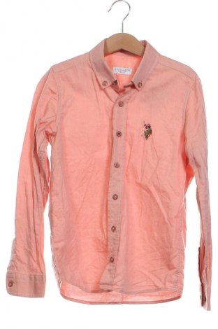 Kinderhemd U.S. Polo Assn., Größe 7-8y/ 128-134 cm, Farbe Orange, Preis € 19,44