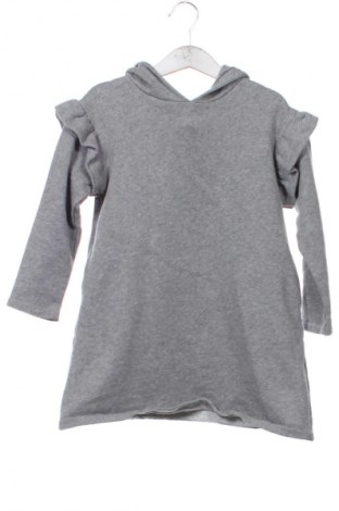 Kinderkleid Zara, Größe 4-5y/ 110-116 cm, Farbe Grau, Preis € 6,84