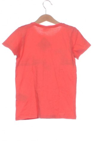 Tricou pentru copii Page One, Mărime 8-9y/ 134-140 cm, Culoare Multicolor, Preț 27,99 Lei