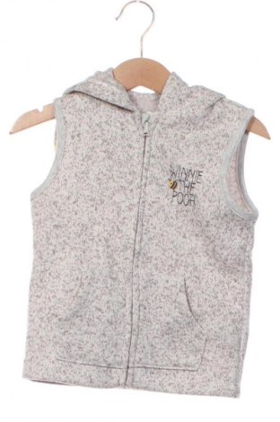 Dětská vesta  Disney, Velikost 18-24m/ 86-98 cm, Barva Vícebarevné, Cena  249,00 Kč