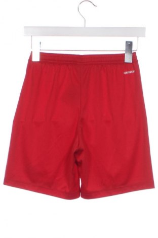 Detské krátke nohavice  Adidas, Veľkosť 10-11y/ 146-152 cm, Farba Červená, Cena  11,95 €