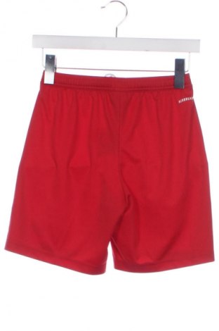 Detské krátke nohavice  Adidas, Veľkosť 10-11y/ 146-152 cm, Farba Červená, Cena  11,95 €