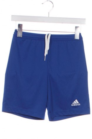 Detské krátke nohavice  Adidas, Veľkosť 10-11y/ 146-152 cm, Farba Modrá, Cena  11,95 €
