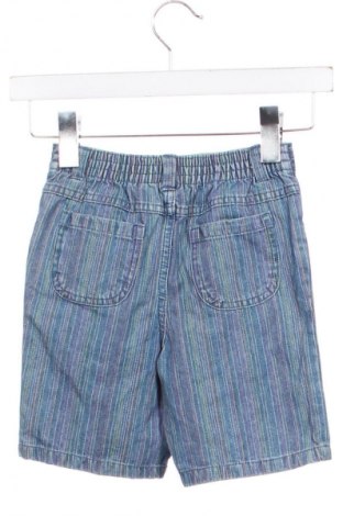Детски къс панталон Faded Glory, Размер 4-5y/ 110-116 см, Цвят Многоцветен, Цена 11,99 лв.