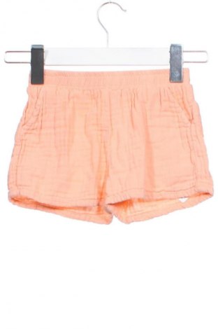 Detské krátke nohavice  Pepco, Veľkosť 2-3y/ 98-104 cm, Farba Oranžová, Cena  7,16 €