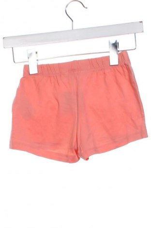 Detské krátke nohavice  Pepperts!, Veľkosť 6-7y/ 122-128 cm, Farba Viacfarebná, Cena  6,95 €