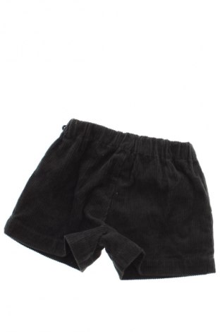 Kinder Shorts Zara, Größe 2-3y/ 98-104 cm, Farbe Grün, Preis € 7,99