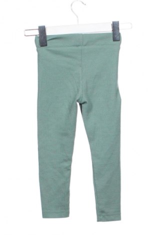 Детски клин Cichlid, Размер 2-3y/ 98-104 см, Цвят Зелен, Цена 13,99 лв.