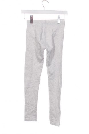 Детски клин Pepperts!, Размер 10-11y/ 146-152 см, Цвят Сив, Цена 9,99 лв.