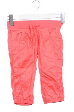 Детски панталон Palomino, Размер 5-6y/ 116-122 см, Цвят Розов, Цена 19,99 лв.