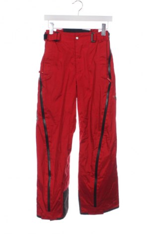 Dětské kalhoty pro zimní sporty  Unbranded, Velikost 15-18y/ 170-176 cm, Barva Červená, Cena  734,00 Kč