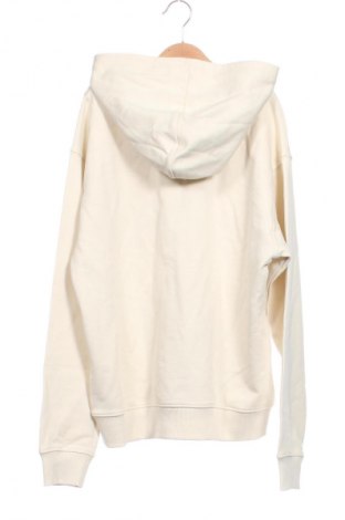 Kinder Sweatshirts Calvin Klein Jeans, Größe 14-15y/ 168-170 cm, Farbe Beige, Preis 67,99 €