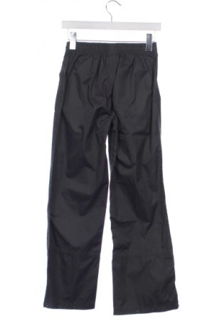 Detské tepláky Pocopiano, Veľkosť 10-11y/ 146-152 cm, Farba Sivá, Cena  11,95 €