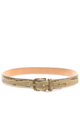 Ζώνη Unbranded, Χρώμα Πολύχρωμο, Τιμή 12,99 €