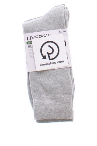 Set Livergy, Größe S, Farbe Mehrfarbig, Preis 6,14 €